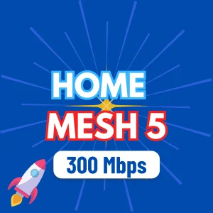 HOME MESH 5